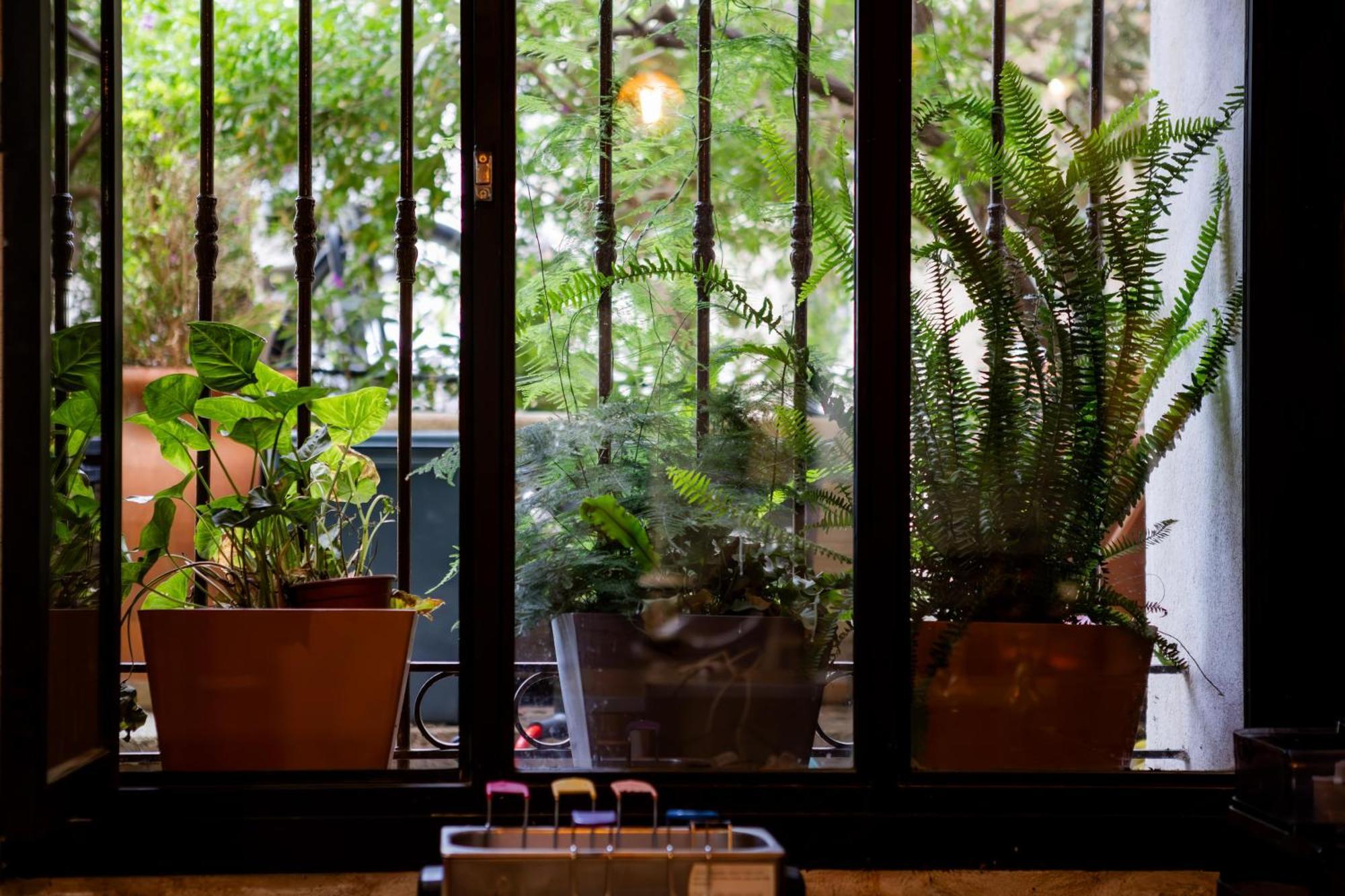 Hotel La Muette Arles Luaran gambar